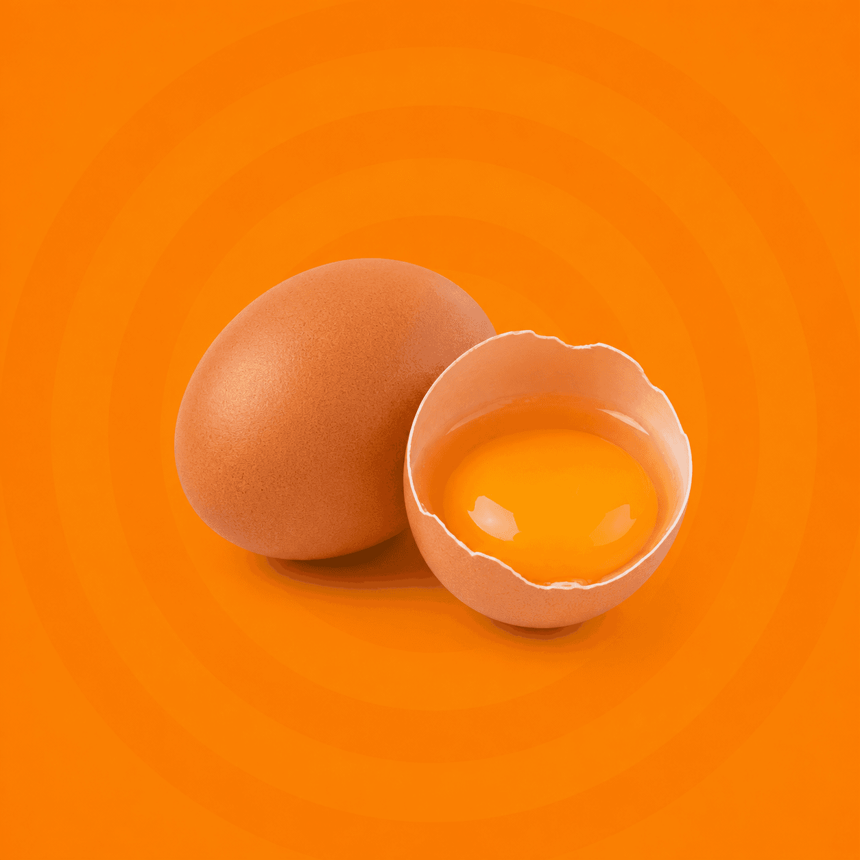 Oeuf